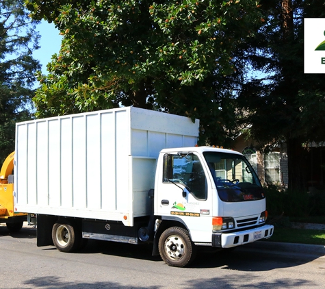 E and J Sanchez Tree Service - Fresno, CA. Palm and Tree Trimming, Pruning & Removal. Call us now!