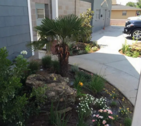 Franklin Foliage & Landscaping - Midland, TX