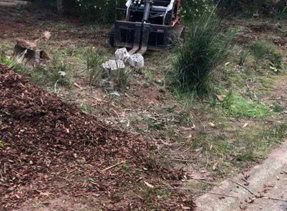 Brent's Mini Loader - Aireys Inlet, VIC. Brent doing more than building a fence! Helping remove stumps.) Thank you Brent