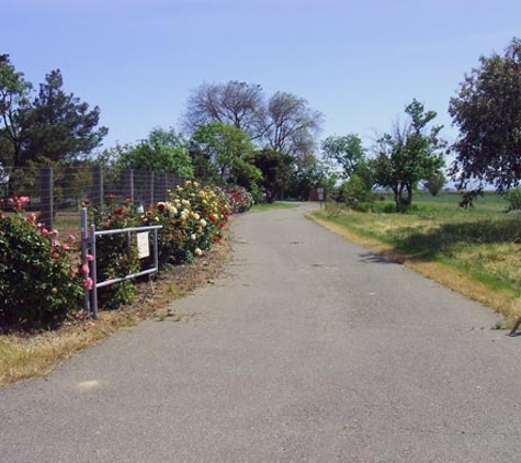 Badger Creek Kennels - Wilton, CA