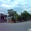 Green Thumb Nursery - Nurseries-Plants & Trees