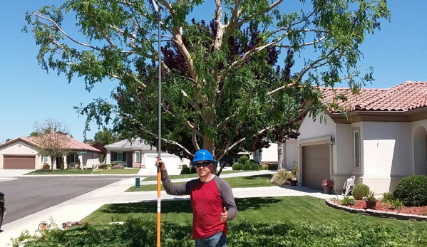 D & A Tree Service Inc - Bakersfield, CA