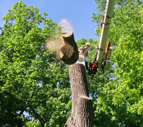 Bart's Tree Service - Danbury, CT