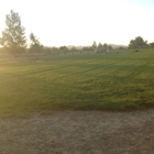 Link Piazzo Dog Park