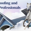 Shadowfax Roofing and Solar - Roofing Contractors