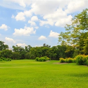 Gallery Image Number 5