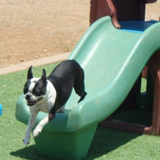 Boulder Falls Pet Resort - Phoenix, AZ