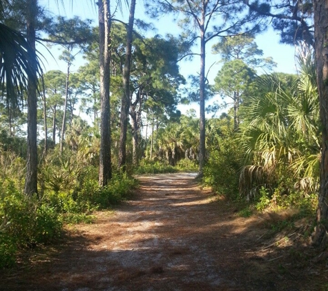 Wall Springs Park - Palm Harbor, FL