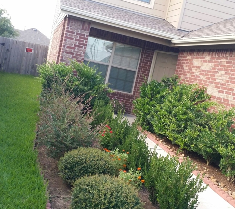 M&M Landscaping of Pearland - Houston, TX. Before