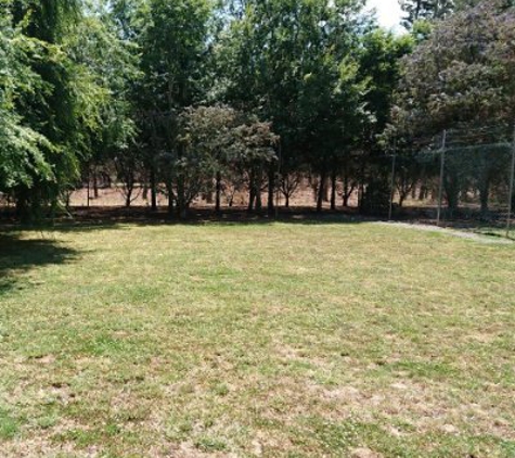 Longford Park Boarding Kennels - Longford, TAS. Longford Park Kennels & Cattery - Field for playing