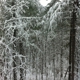 Beavers Bend Log Cabins