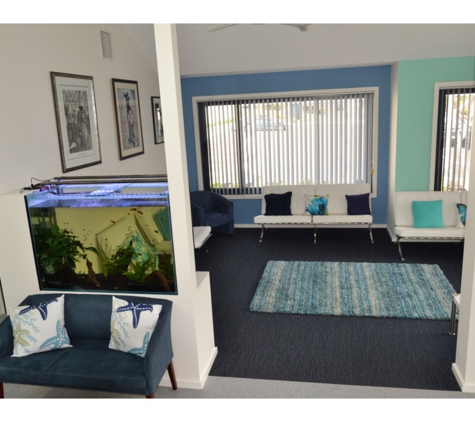 Paul Ledger. Podiatrist - Merimbula, NSW