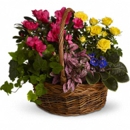 Enchanted Florist - Flowers, Plants & Trees-Silk, Dried, Etc.-Retail