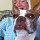 Four Boston's Pet Sitting - Pet Sitting & Exercising Services