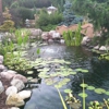 Peaceful Falls gallery