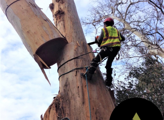 Arbortech Tree Care Inc - Hayward, CA