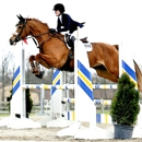 Little Glen Equestrian Team - Horse Training