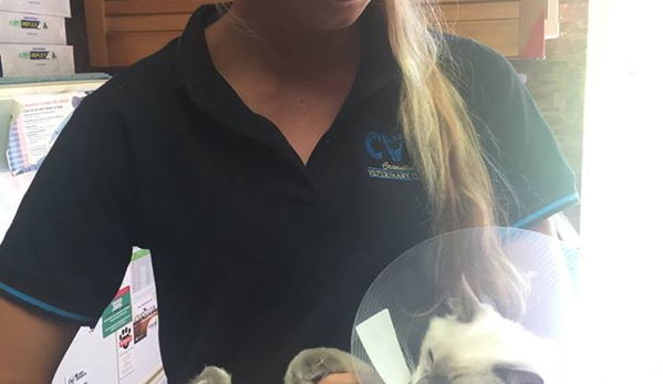 Cronulla Veterinary Clinic - Cronulla, NSW