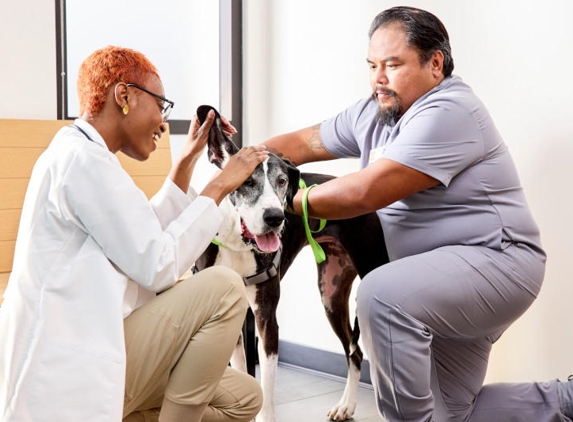 Banfield Pet Hospital - Fort Myers, FL