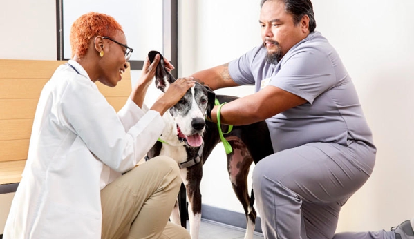 Banfield Pet Hospital - Irving, TX