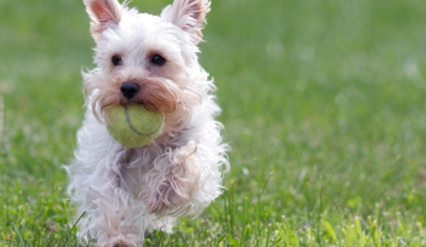 Boise Kennels - Boise, ID