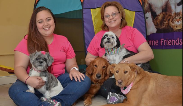 Dog Groomer Academy - Orlando, FL