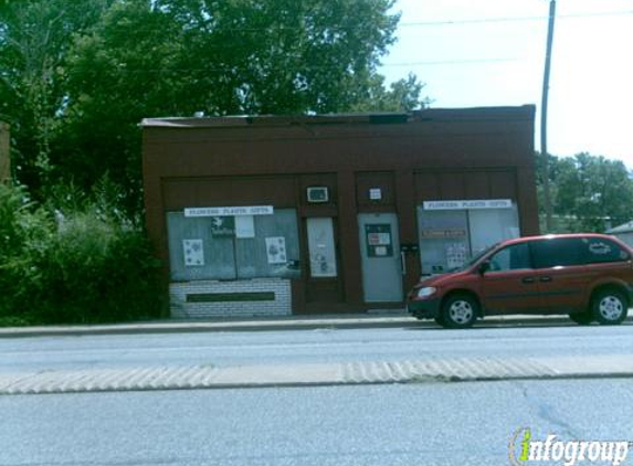 Lady Bugs Flowers & Gifts - Plainview, IL