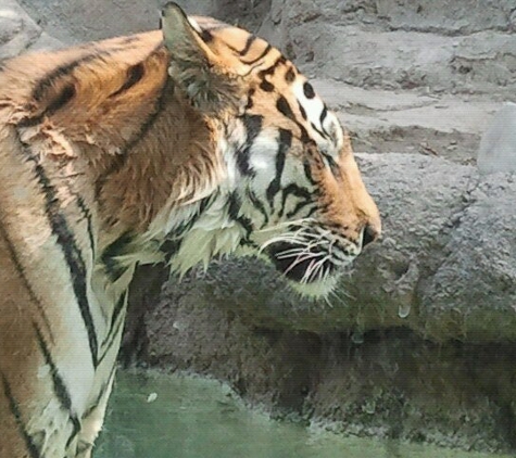 Utah's Hogle Zoo - Salt Lake City, UT