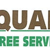 Quality Tree Service gallery