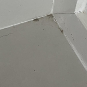 Gallery Image Number 5
