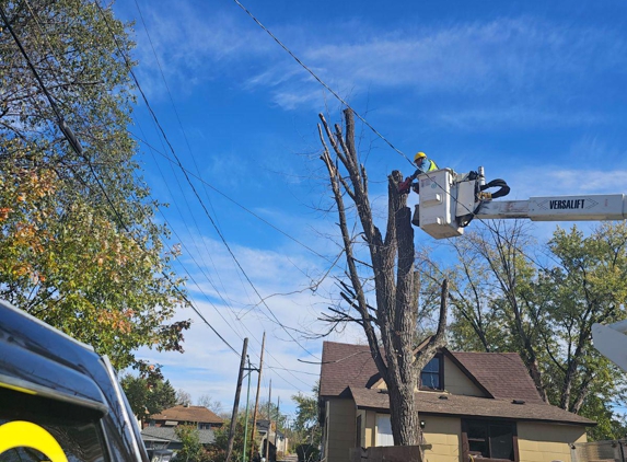 a 1 lawn snow & tree service inc - Cook, MN