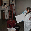 PuroClean Emergency Services - Mold Remediation
