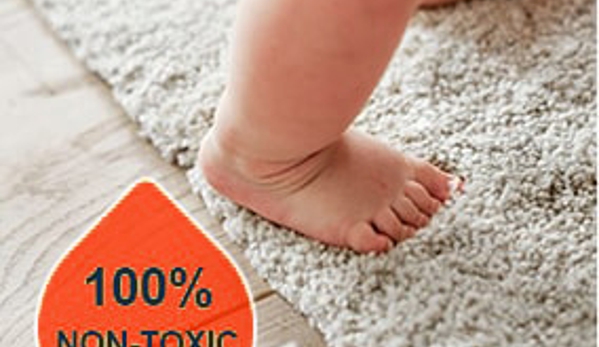 Best Carpet Cleaning service - Texas City, TX