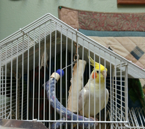 Fabian Boarding Kennel - Galveston, TX