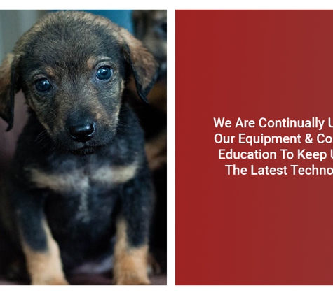 The Animal Hospital - Kalgoorlie, WA. We Are Continually Updating Our Equipment & Continuing Education To Keep Up With The Latest Technologies