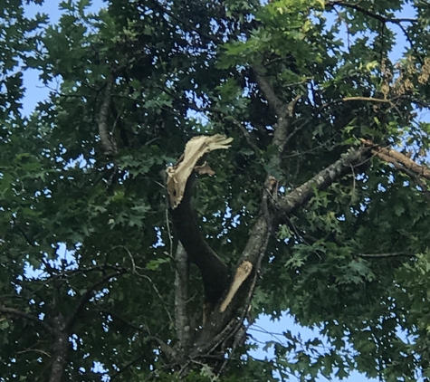 The Champion Tree Care - Pulaski, TN