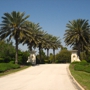 Florida Landscape & Nursery