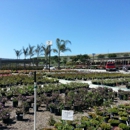 Evergreen Nursery - Nurseries-Plants & Trees