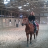 Double J Ranch Boarding Stable, Indoor Arena and Hobby Farm gallery