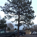 Abe's Tree Service - Tree Service