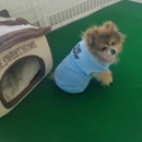 The Woof Dog Day care & Boarding - Pet Boarding & Kennels