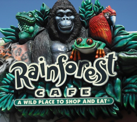 Rainforest Cafe - Sunrise, FL