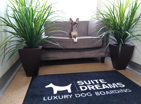 Suite Dreams Luxury Dog Boarding - Pikesville, MD