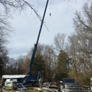 Russell Tree Service - Tree Service