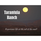 Tarantula Ranch