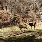 Little Creek RV Park