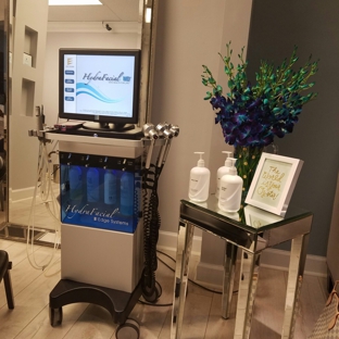 Blue Divine Aesthetics - Atlanta, GA. The hydra facial machine.