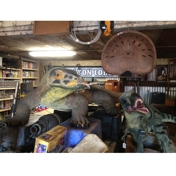 Gallery Image Number 5