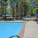 Tahoe Valley Campground - Campgrounds & Recreational Vehicle Parks