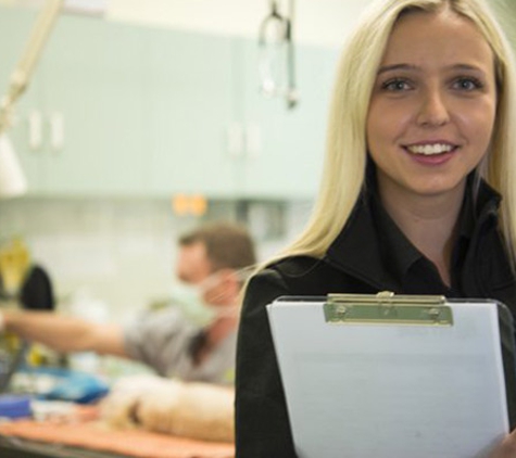 Peninsula Vet Care - Dromana, VIC